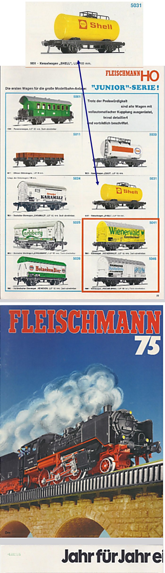 Fleisch77p36